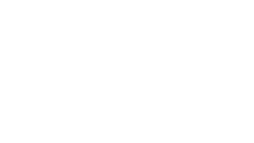 KiNT: logo